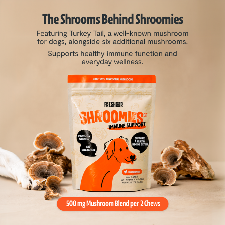 Freshcap Shroomies immunity support pouch with turkey tail mushroom blend and wellness badge