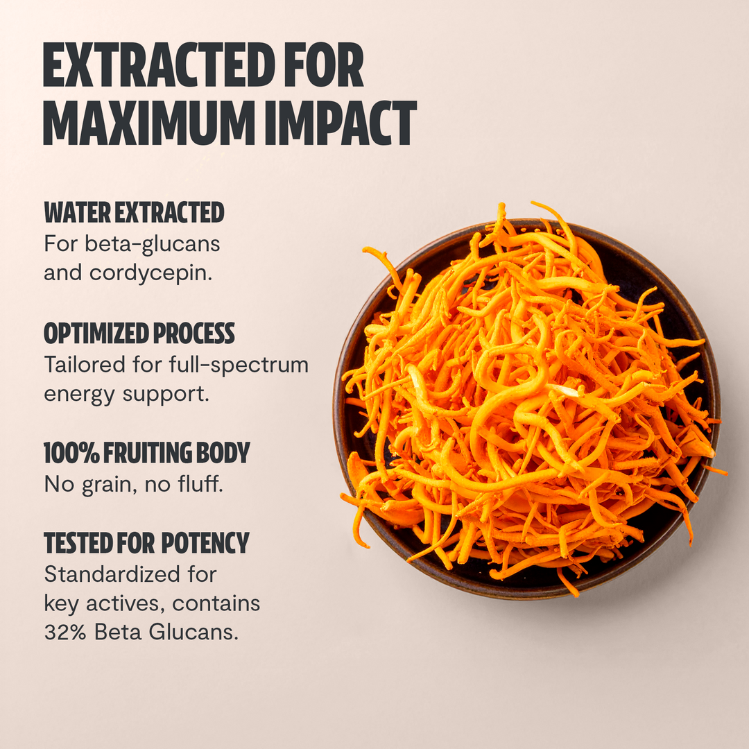 Bowl of bright orange cordyceps mushrooms for mushroom extract powder