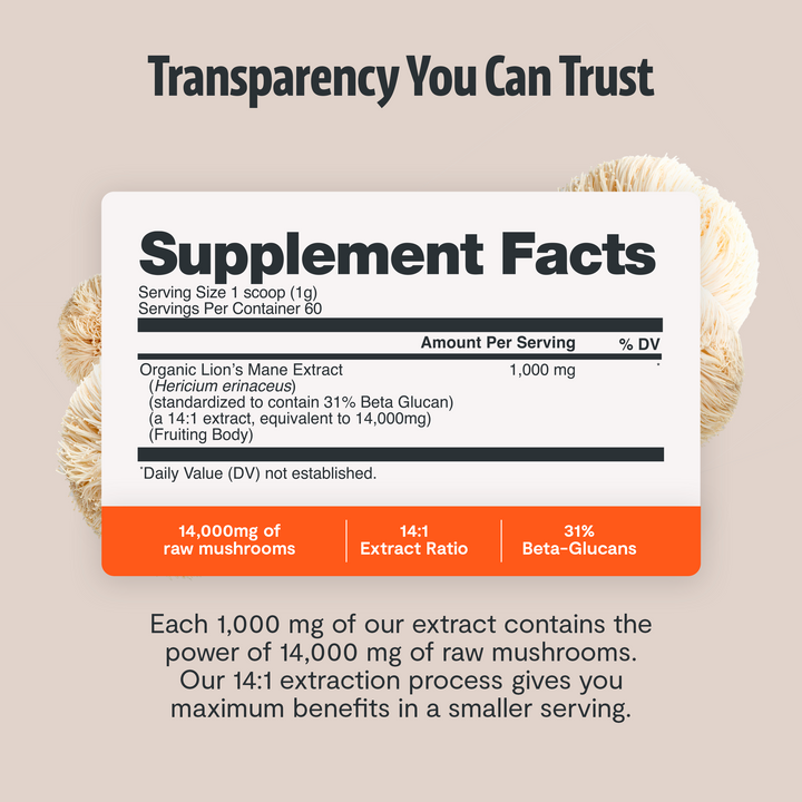 Supplement Facts label for Lion’s Mane mushroom extract powder, 60 servings