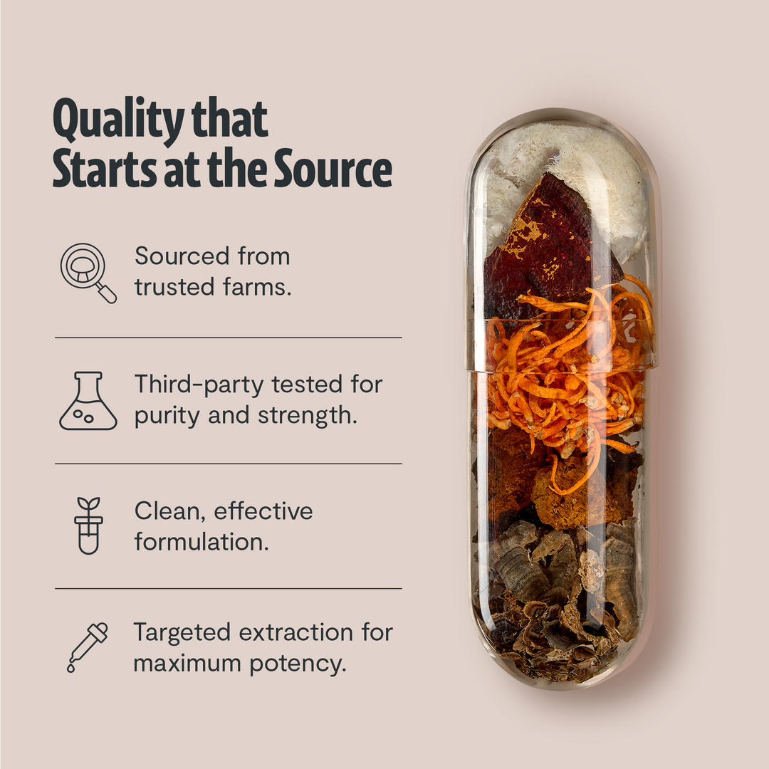 Organic mushroom complex extract capsules in a clear gelatin shell
