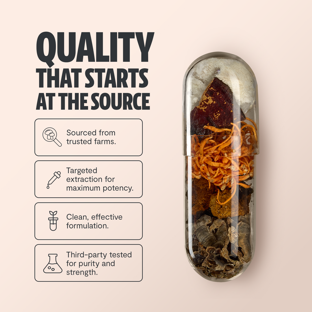 Capsule extract bottle beside a clear vial of dried mushroom pieces