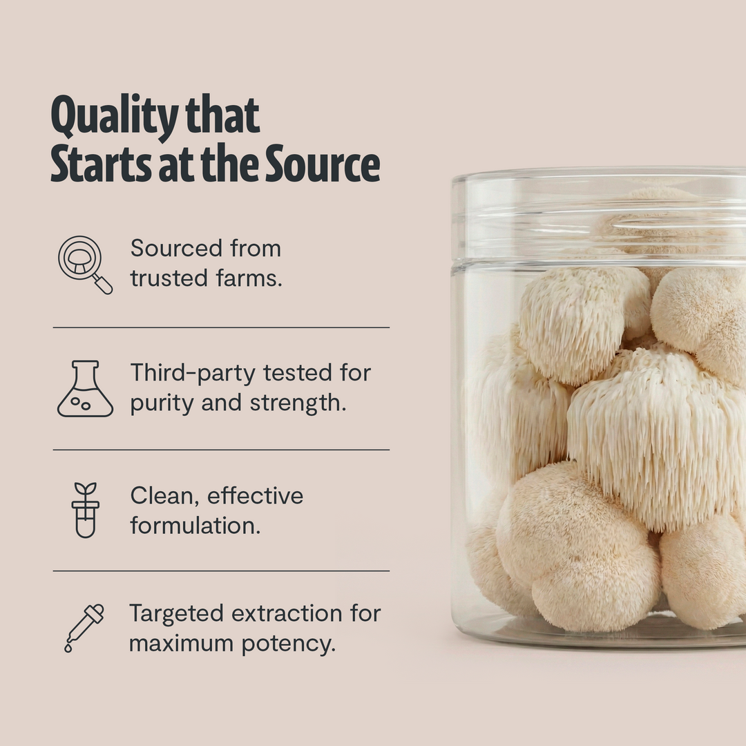 Clear jar filled with dried mushroom pieces for organic supplement extraction