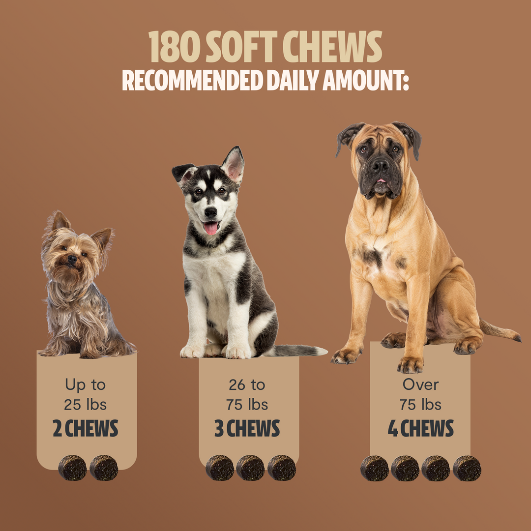 Daily feeding chart for 180 soft dog chews with weight ranges and recommended chews