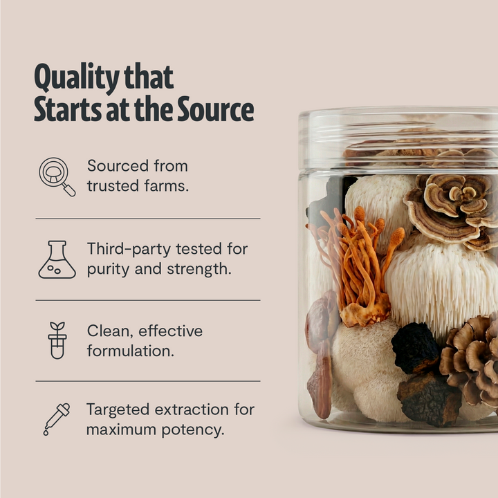 Mushroom extract powder blend jar with dried mushrooms in a clear container