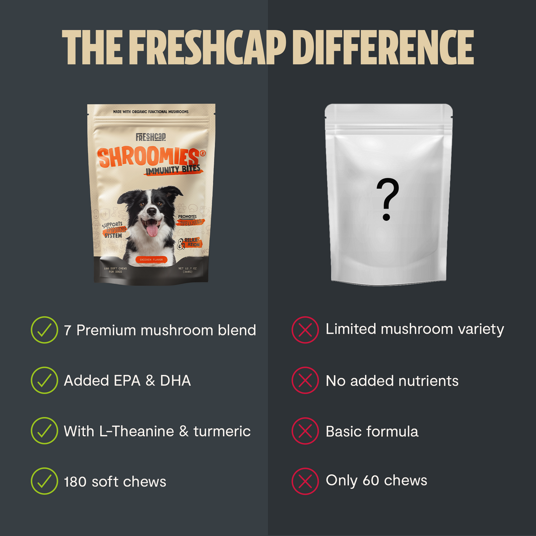Dog mushroom chew pouch comparison showing 7-premium blend vs limited mushroom variety
