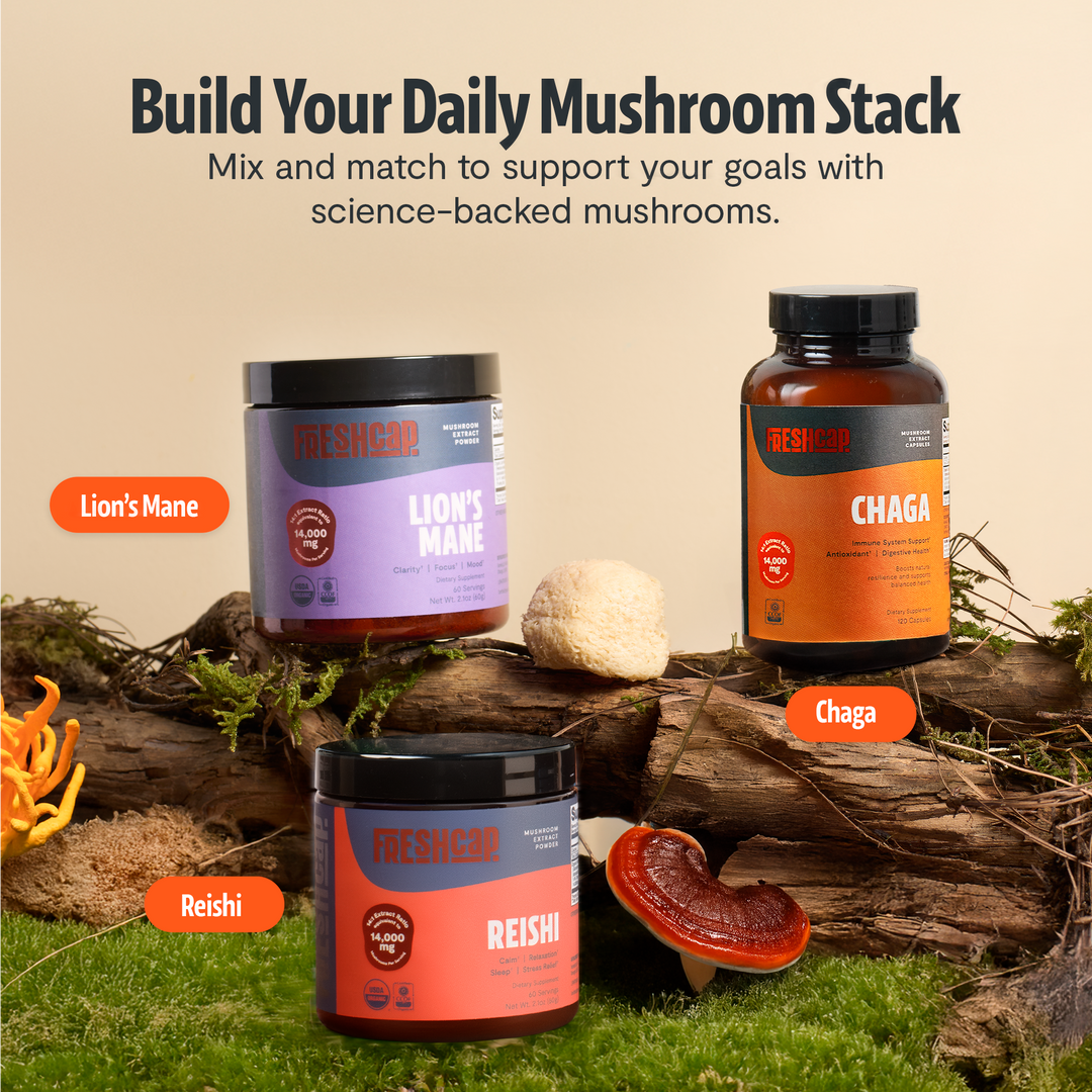 Chaga capsules bottle with black cap and orange label on a natural wood display