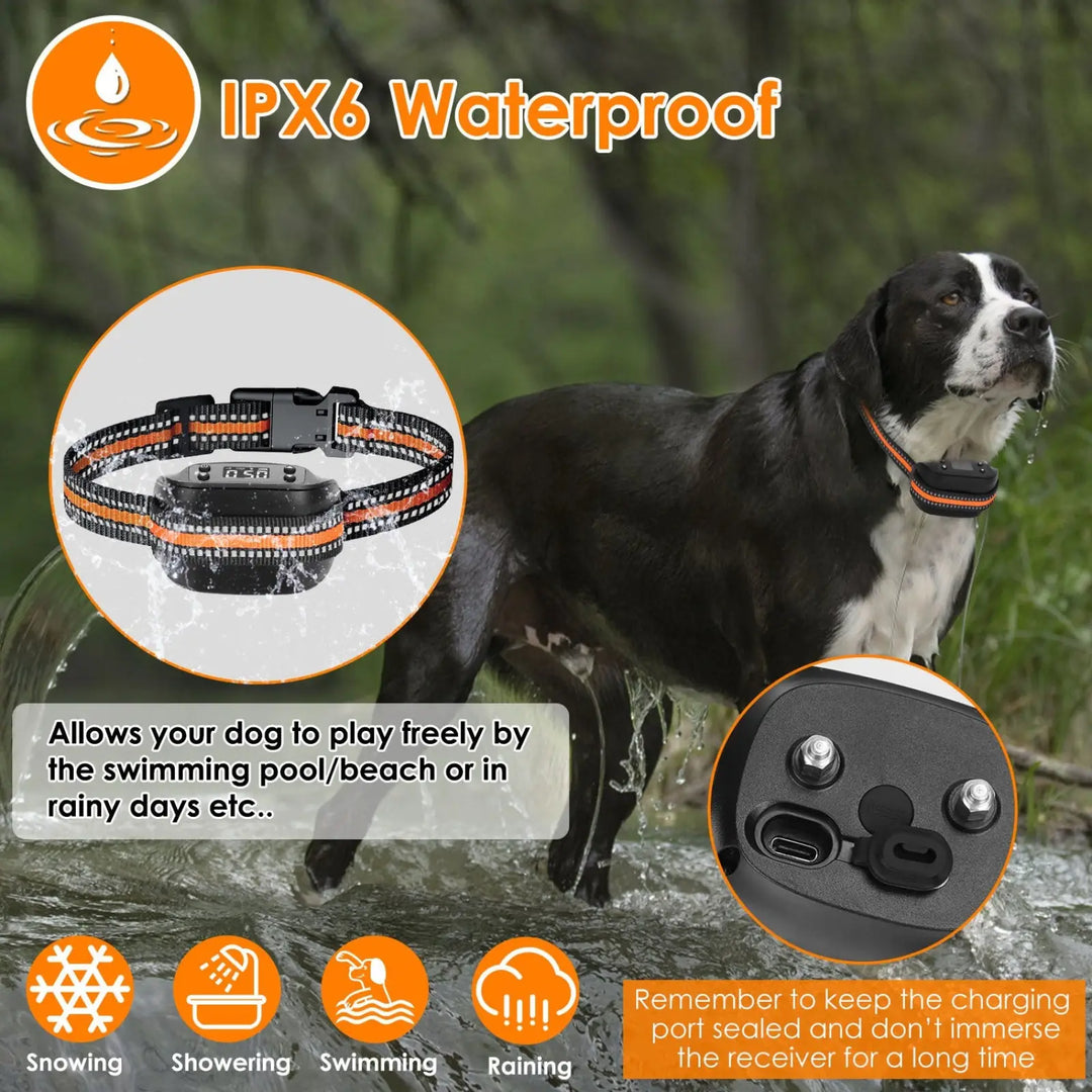 Waterproof orange-and-black GPS dog tracking collar on black-and-white dog in rain