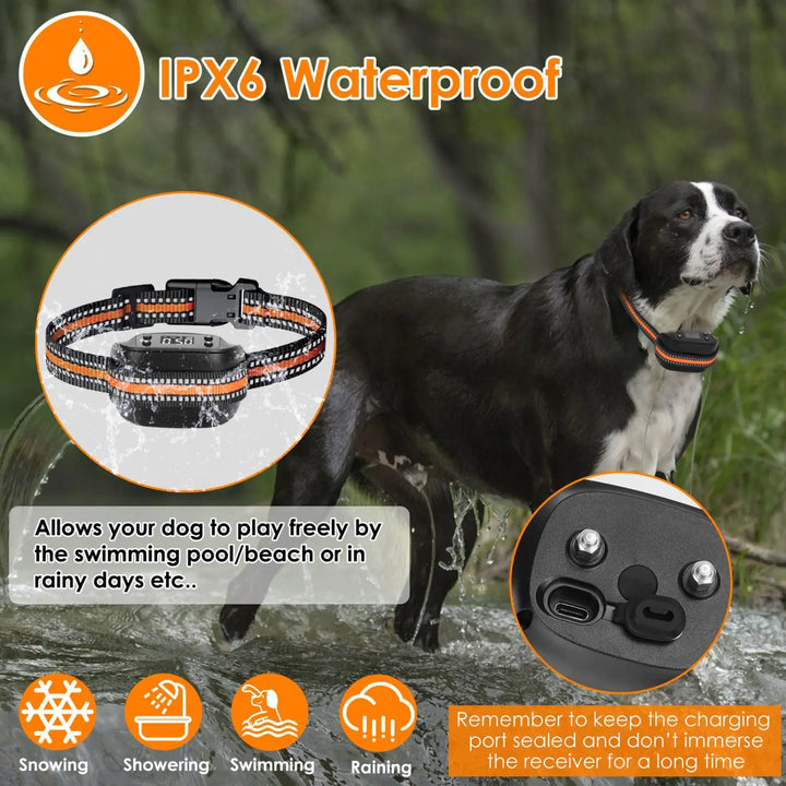 Waterproof orange-and-black GPS dog tracking collar on black-and-white dog in rain