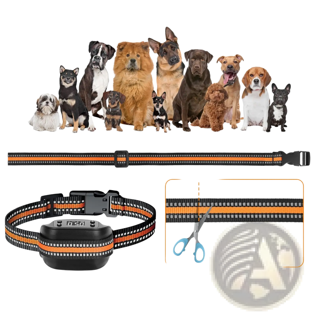 Orange-and-black dog tracking collar with long strap and GPS receiver module
