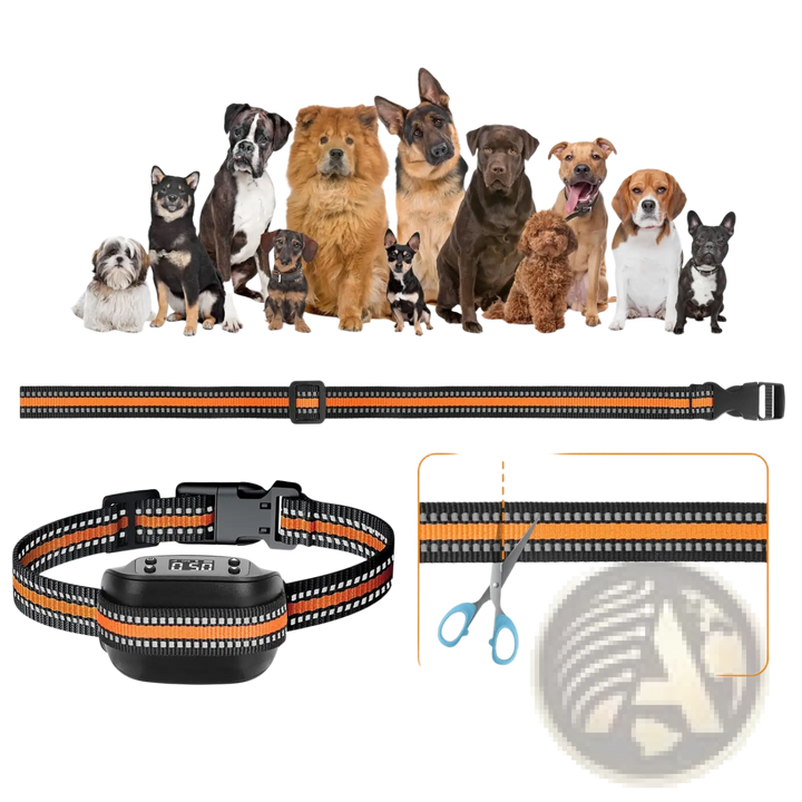 Orange-and-black dog tracking collar with long strap and GPS receiver module