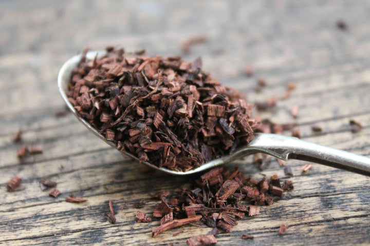 Honeybush dried chopped leaves in a spoon, dark brown tea herb