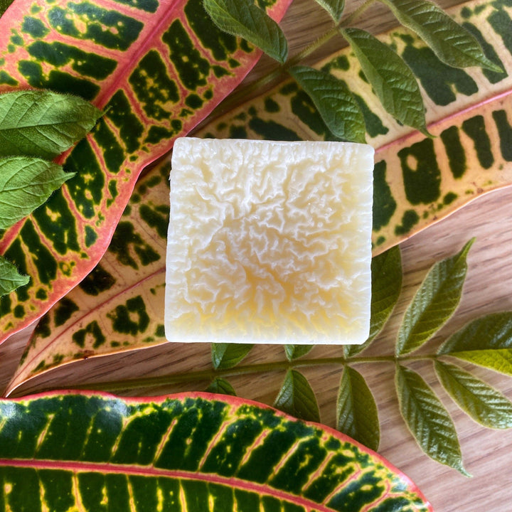 Pet Conditioner Bar for Dogs or Cats, Unscented/Fragrance Free — , [material], Sweet ʻŌkole Soap