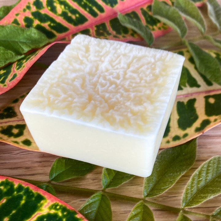 Pet Conditioner Bar for Dogs or Cats, Unscented/Fragrance Free — , [material], Sweet ʻŌkole Soap