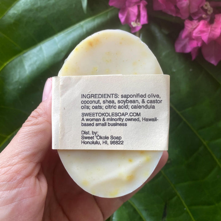 Natural Pet Shampoo, Sensitive Skin Dog & Cat Soap, Gentle Unscented Pet Wash — , [material], Sweet ʻŌkole Soap