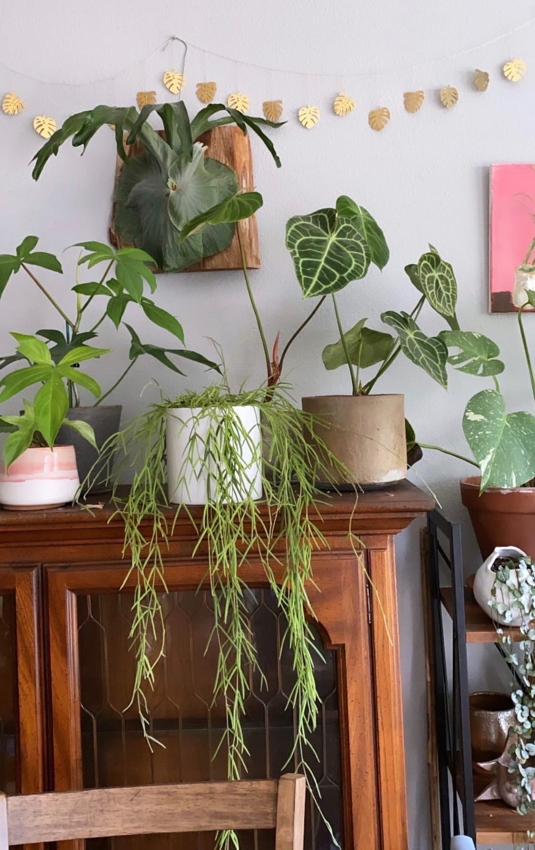 Hammered brass leaf garland strung above plants, leaf-shaped charms