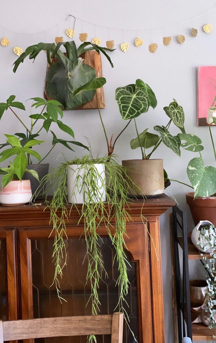 Hammered brass leaf garland strung above plants, leaf-shaped charms