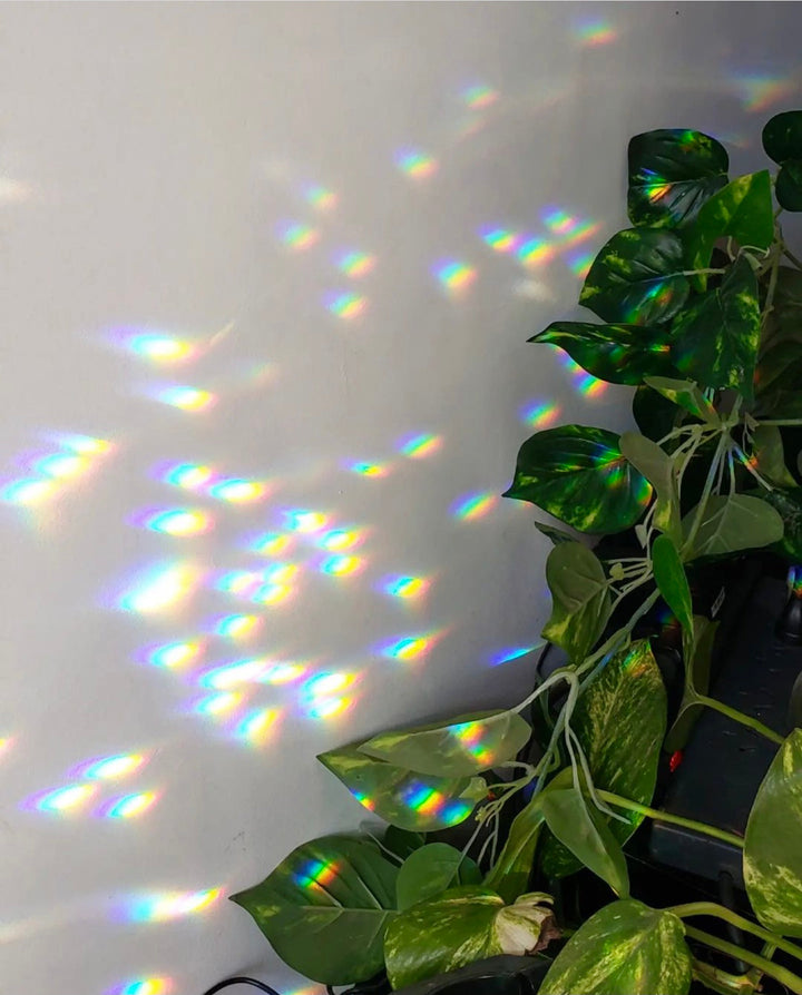 Gold crescent moon suncatcher with clear crystal teardrop catching light on leaves