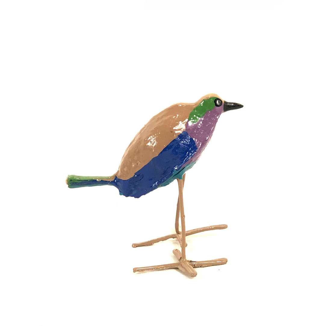 Seedpod Lilac Breasted Roller