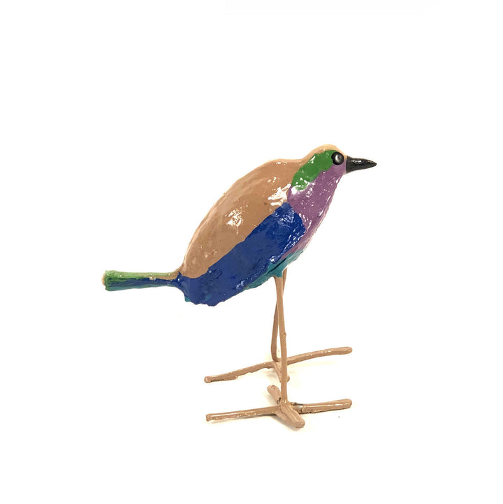 Seedpod Lilac Breasted Roller