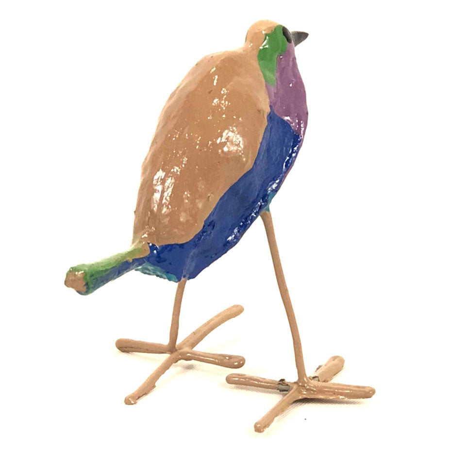 Seedpod Lilac Breasted Roller
