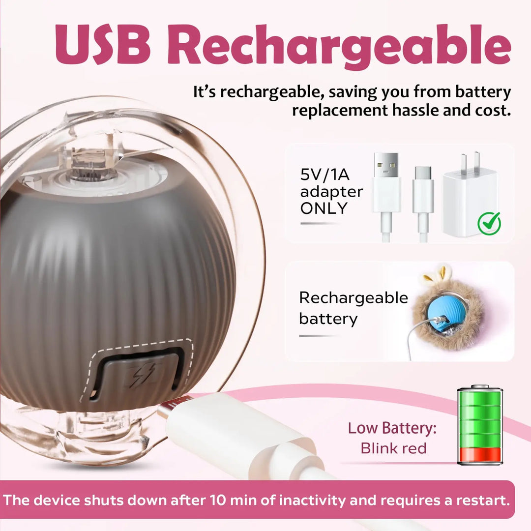 USB rechargeable cat ball toy with LED indicator and charging cable connectors.