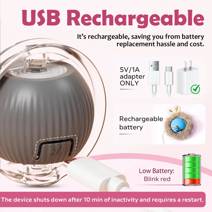 USB rechargeable cat ball toy with LED indicator and charging cable connectors.