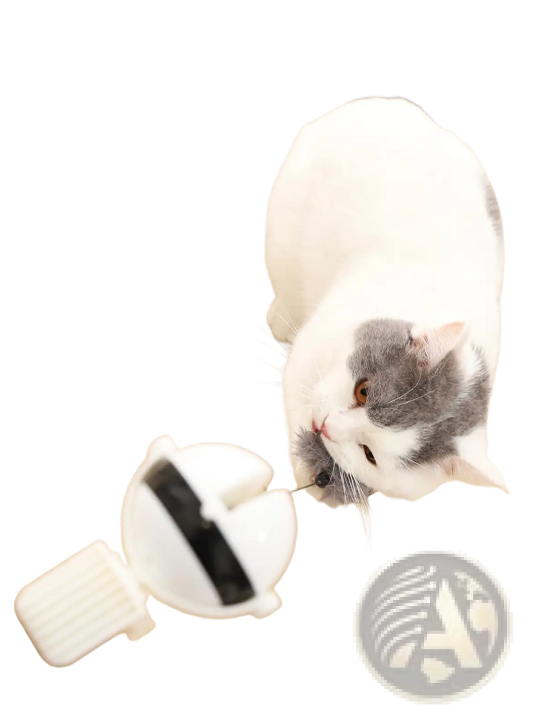 Cat interacting with automatic lifting teaser ball toy near white base and black dome