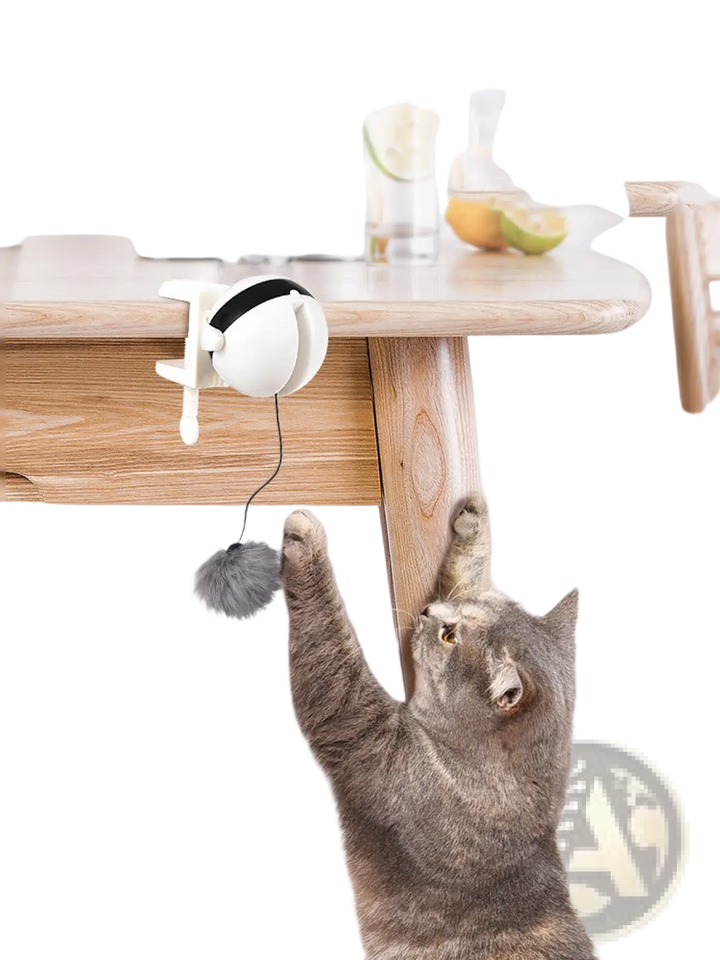 Automatic lifting cat toy on wooden perch with dangling fuzzy pom and teardrop base