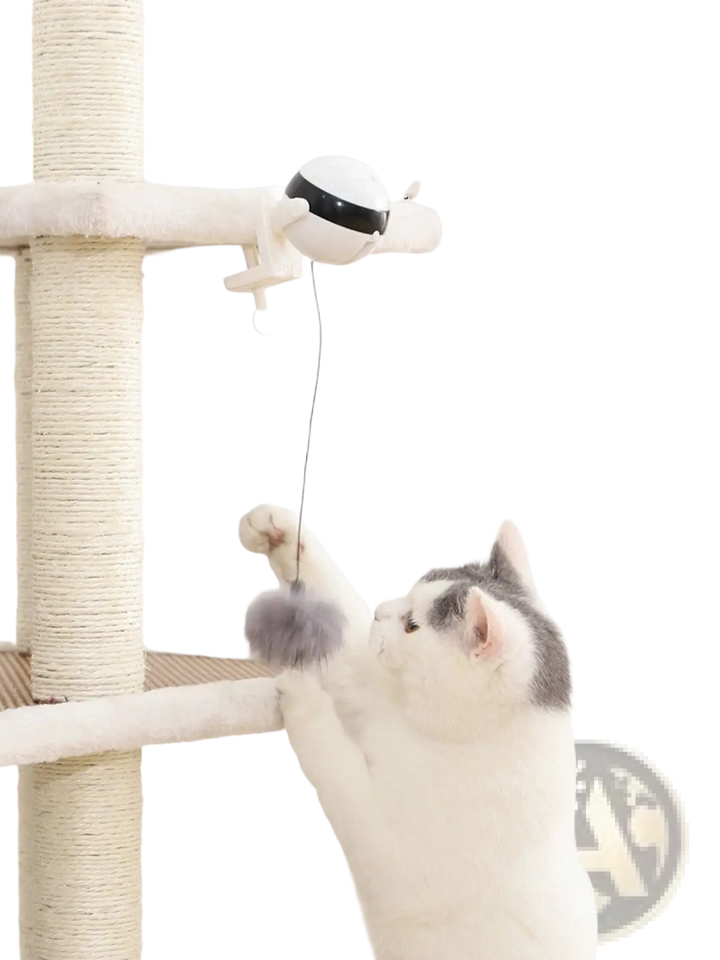 Automatic lifting cat toy on scratching post with hanging fuzzy ball and gray cat