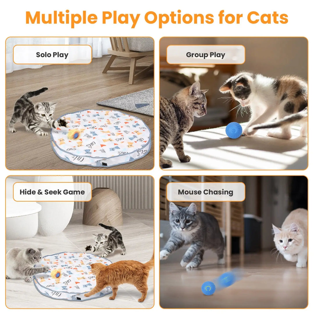 Foldable cat play mat with hidden pouch plus blue ball for multiple play styles