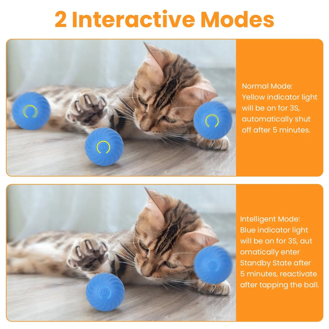 Cat rolling on floor with three blue interactive ball positions