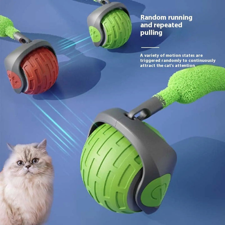 Interactive cat toy ball with green shell and gray base near cat and red toy
