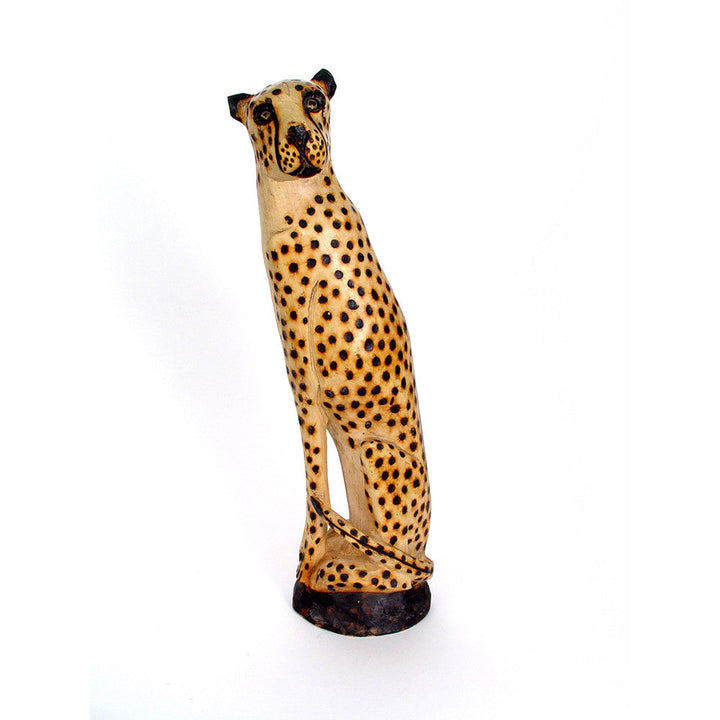 Cheetah Sitting
