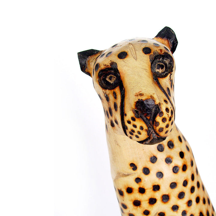 Cheetah Sitting