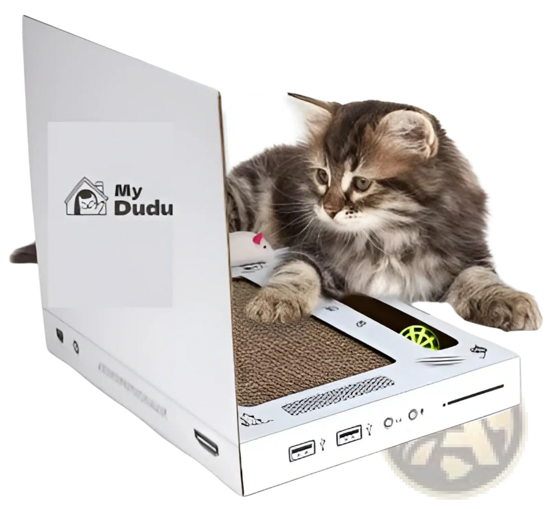 White cardboard cat scratcher laptop toy with My Dudu side panel and cat