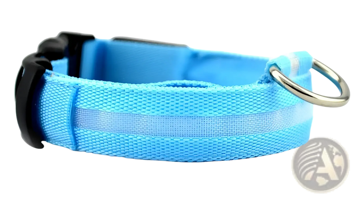 Light-blue LED nylon dog collar with metal D-ring and black buckle