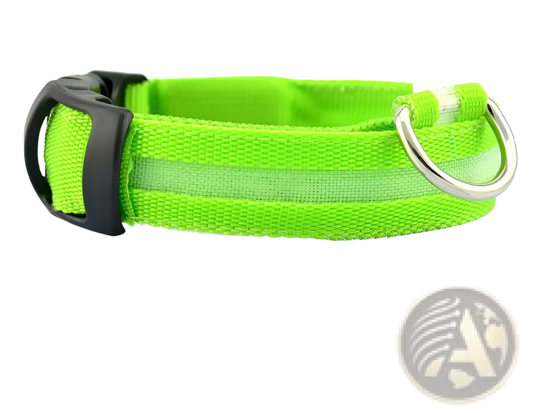 Lime-green LED nylon dog collar with metal D-ring and black buckle