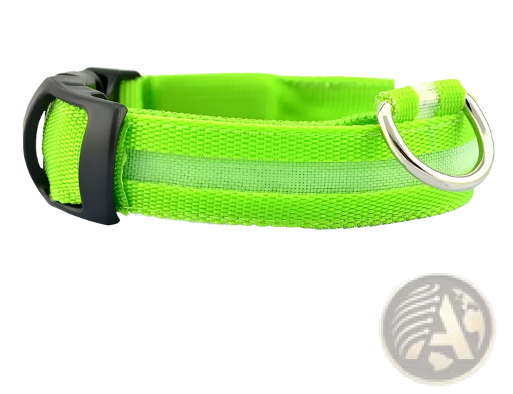 Lime-green LED nylon dog collar with metal D-ring and black buckle