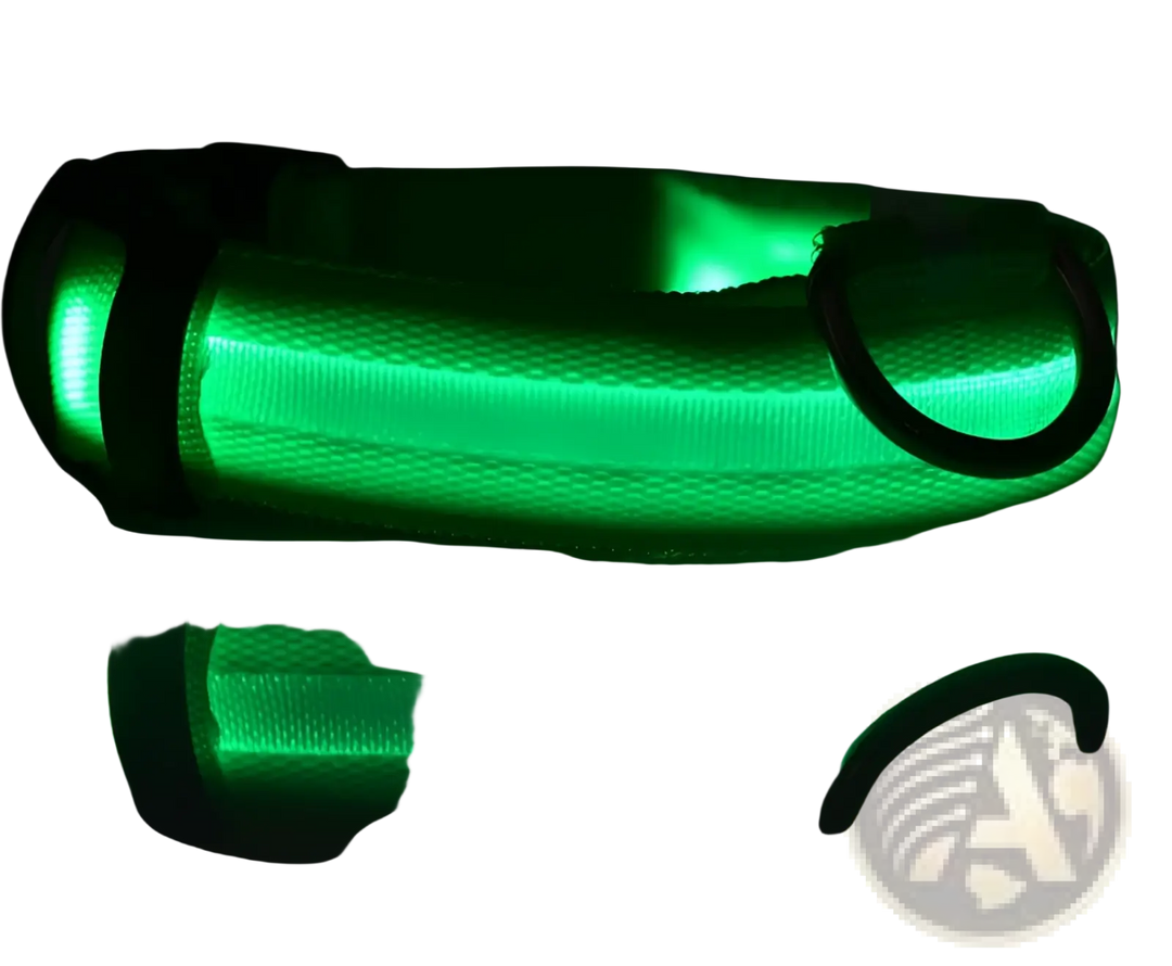 Green glowing LED nylon dog collar with black buckle and metal D-ring
