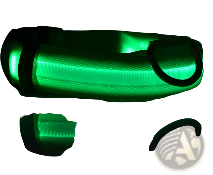 Green glowing LED nylon dog collar with black buckle and metal D-ring