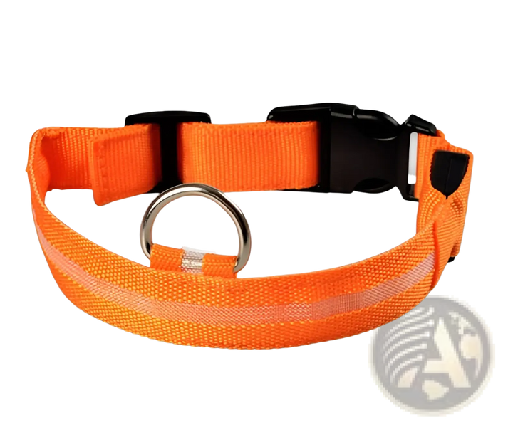 Bright orange LED nylon dog collar with metal D-ring and black buckle