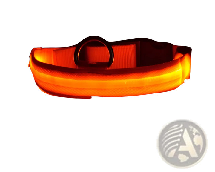 Orange LED nylon dog collar with black buckle and metal D-ring