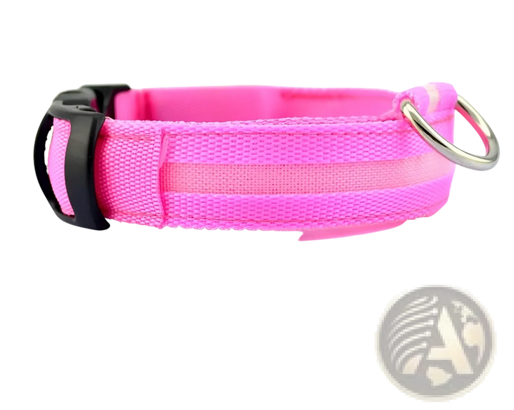 Hot pink LED nylon dog collar with metal D-ring and black buckle