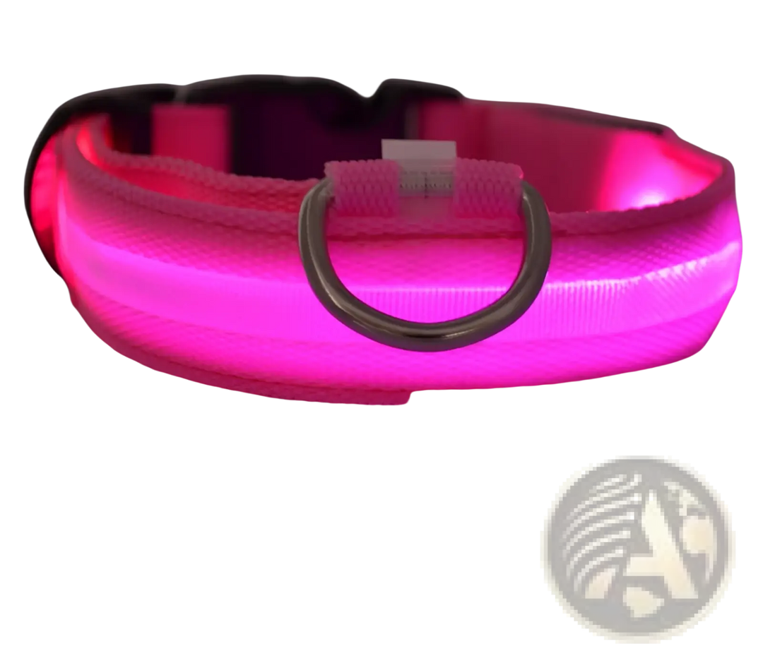 Pink LED nylon dog collar with black buckle and metal D-ring