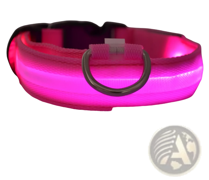 Pink LED nylon dog collar with black buckle and metal D-ring