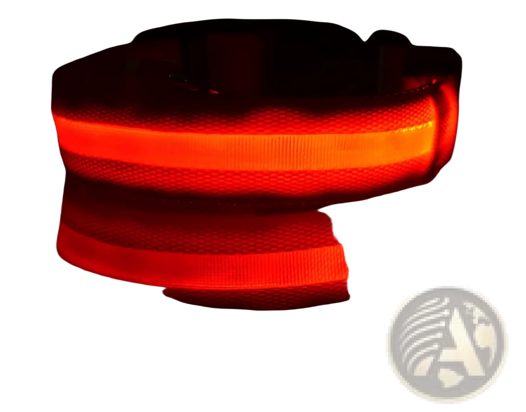 Red glowing LED nylon dog collar with black buckle and metal D-ring