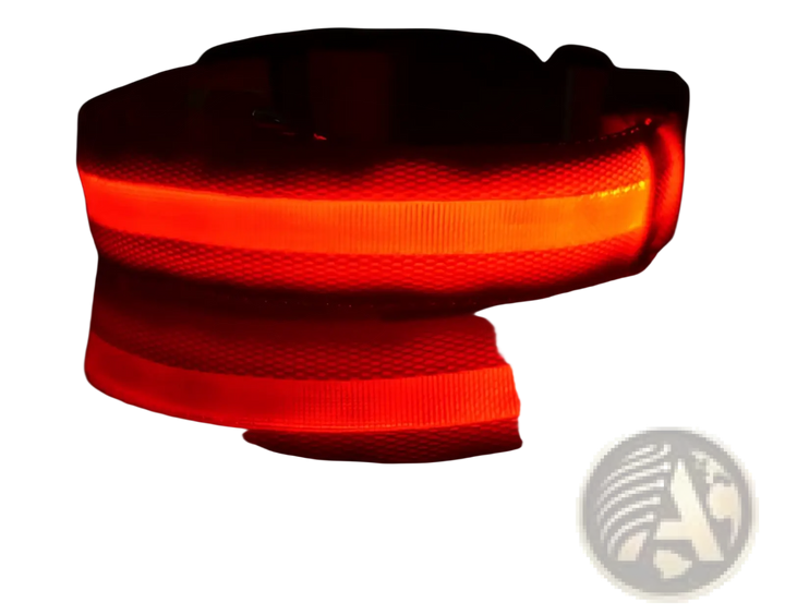 Red glowing LED nylon dog collar with black buckle and metal D-ring