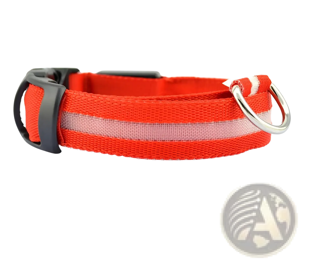 Red nylon LED dog collar with reflective stripe and metal D-ring clasp