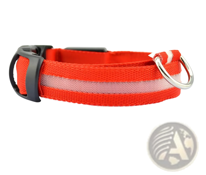 Red nylon LED dog collar with reflective stripe and metal D-ring clasp