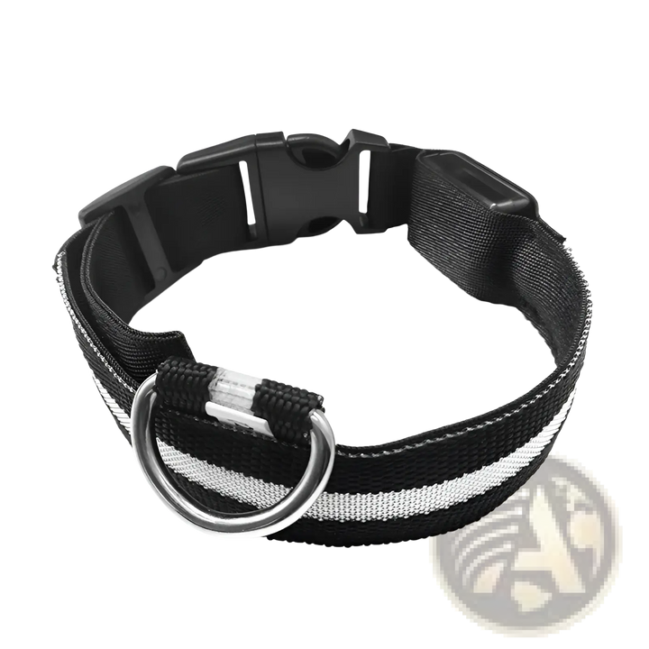 Black LED nylon dog collar with metal D-ring and buckle, striped white glow